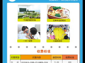 2017托輔班招生宣傳單設計指南 高清AI模板與貼心服務揭秘