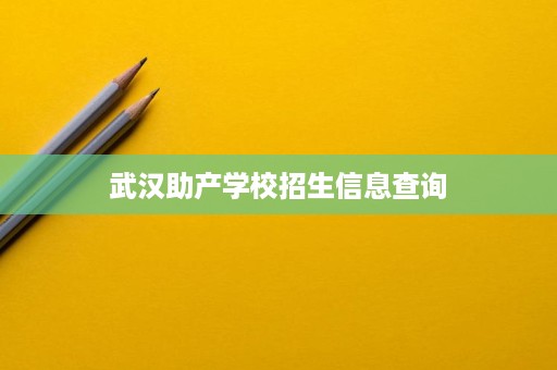 武漢助產學校招生信息全解析 報考指南與輔助服務