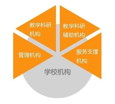 高校“瘦身”激活力 減機構、減干部、減管理人員的改革與招生輔助服務新路徑